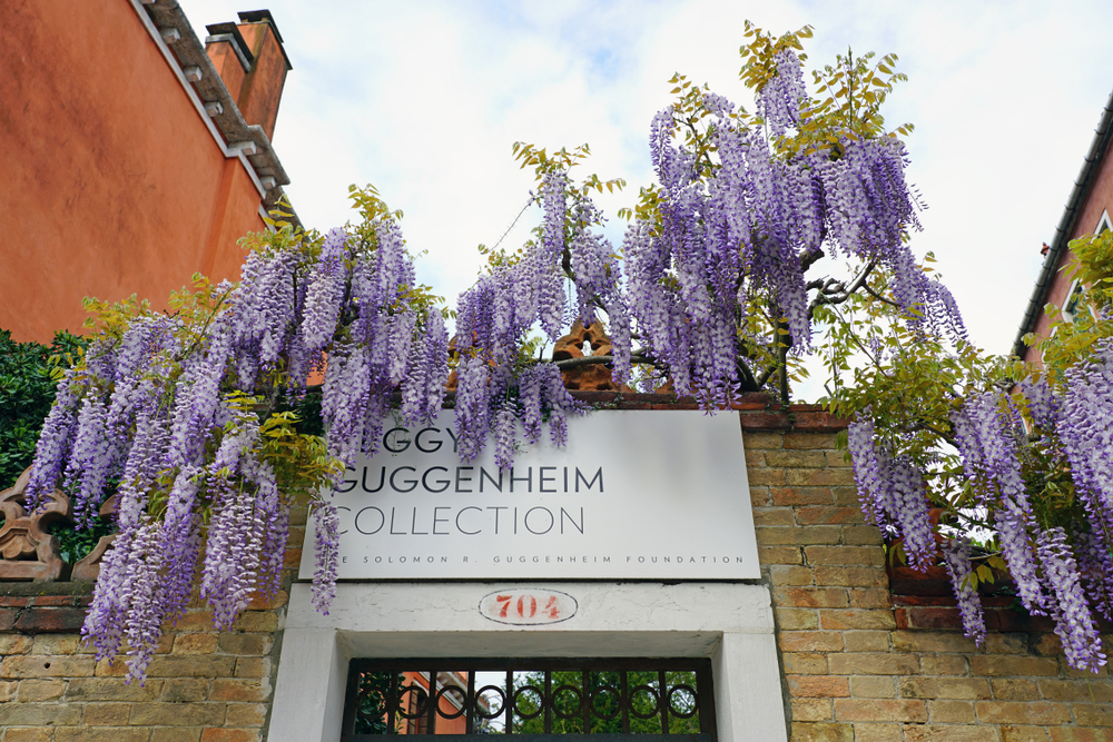 peggy guggenheim venice